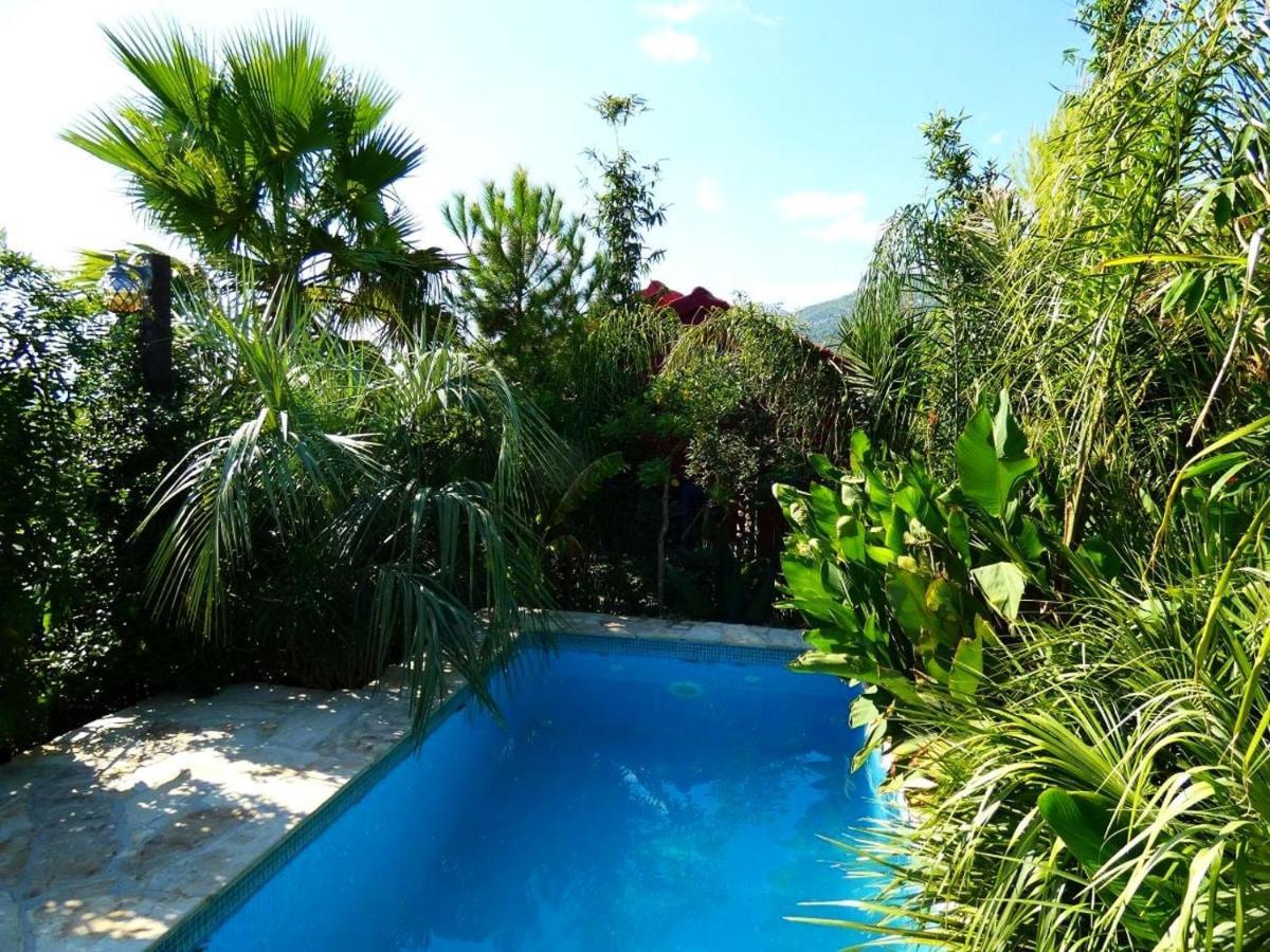 Villa Tropica, Total Privacy, Tropical Garden And Private Pool Kaštela Eksteriør bilde