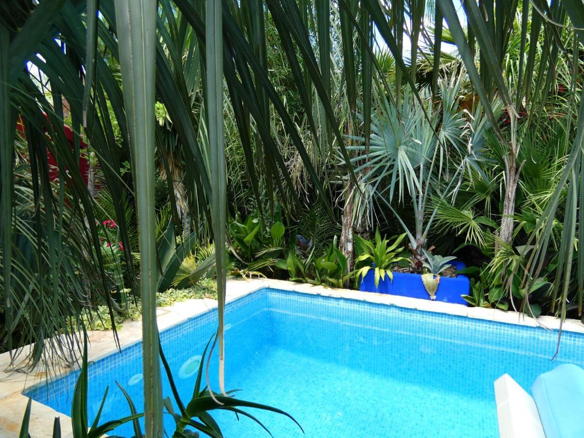 Villa Tropica, Total Privacy, Tropical Garden And Private Pool Kaštela Eksteriør bilde