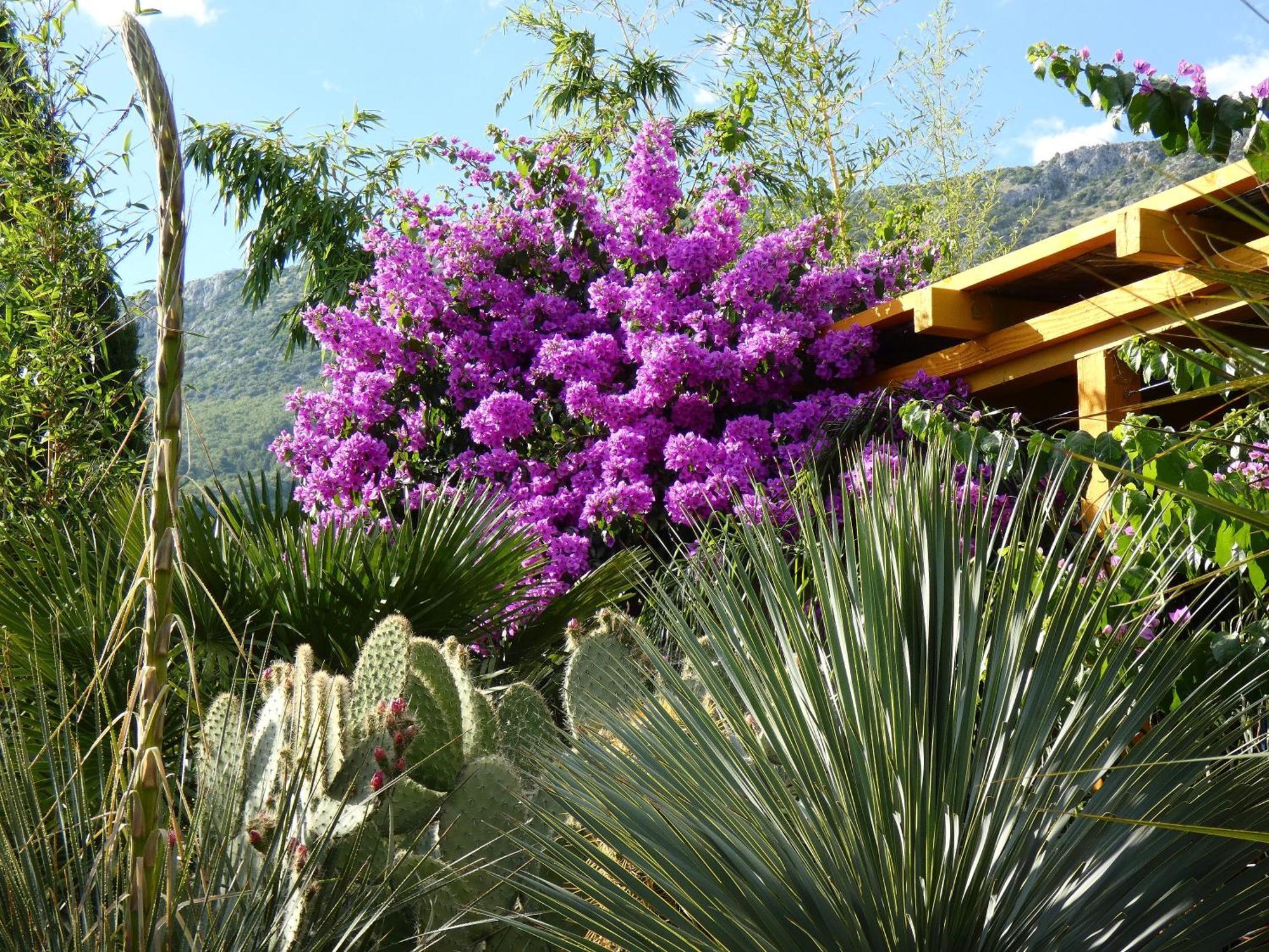 Villa Tropica, Total Privacy, Tropical Garden And Private Pool Kaštela Eksteriør bilde